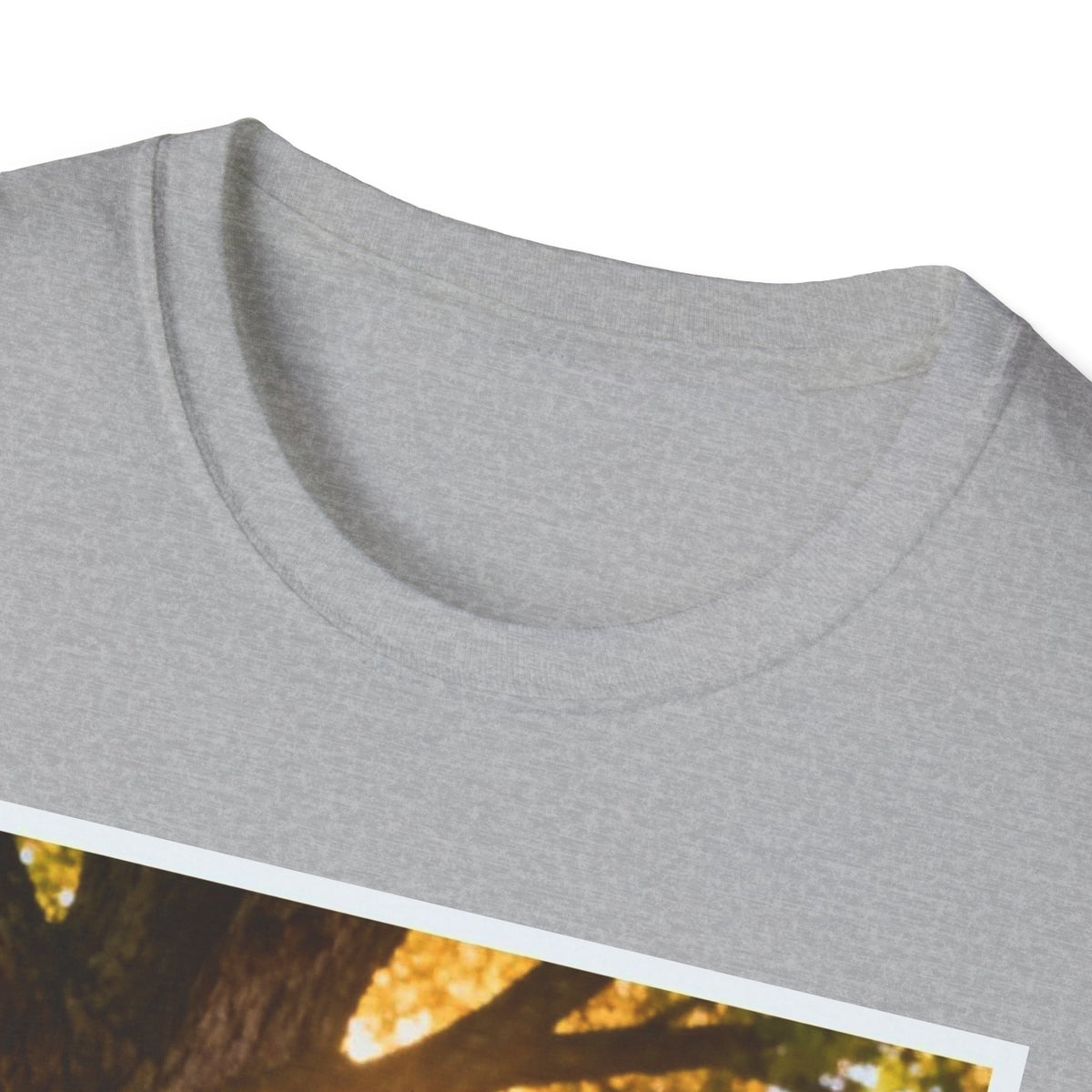 Acorn to Oak T-Shirt