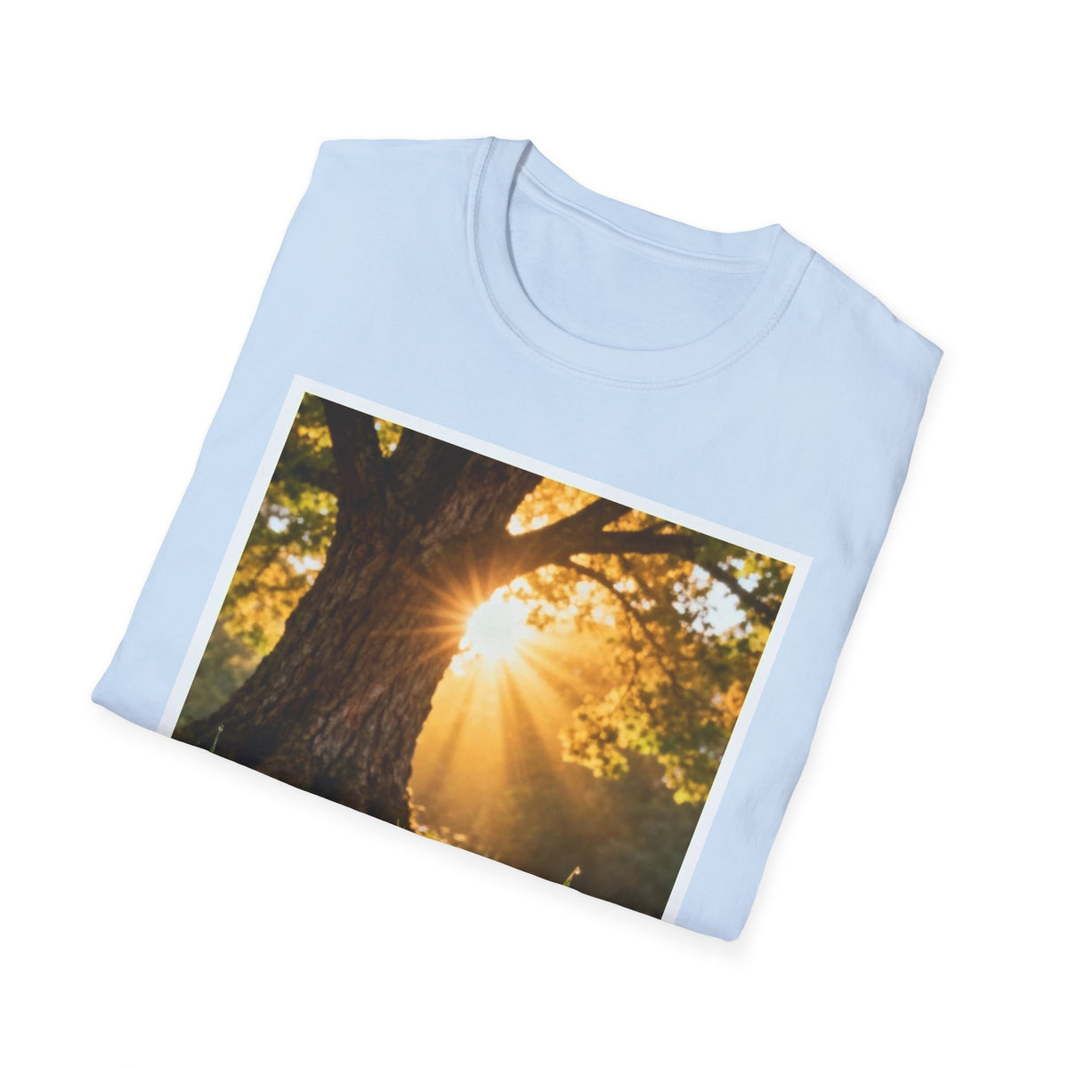 Acorn to Oak T-Shirt