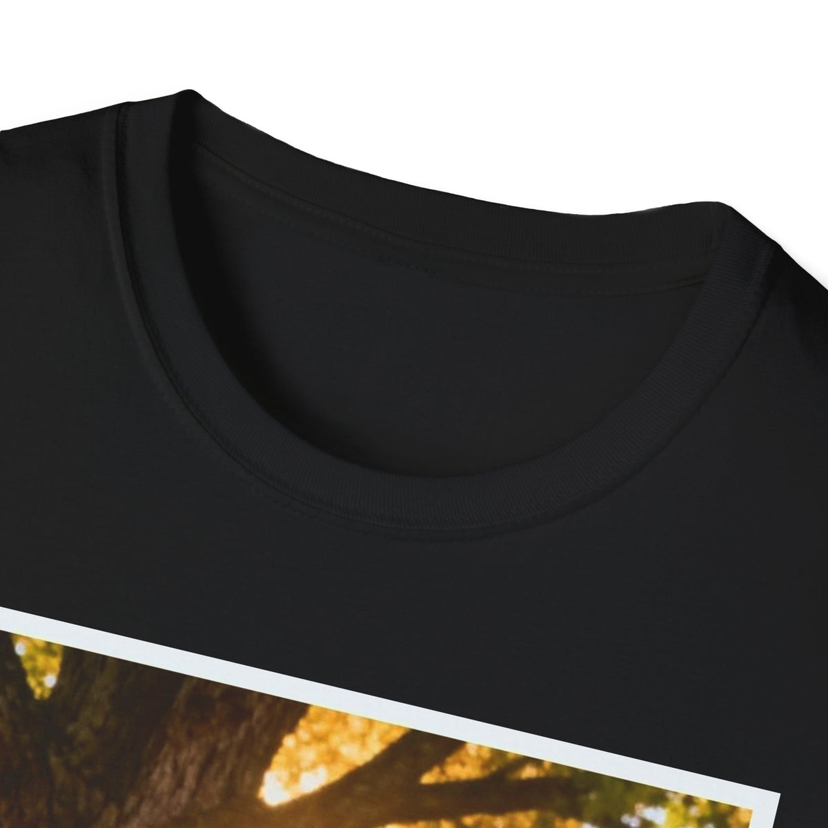 Acorn to Oak T-Shirt