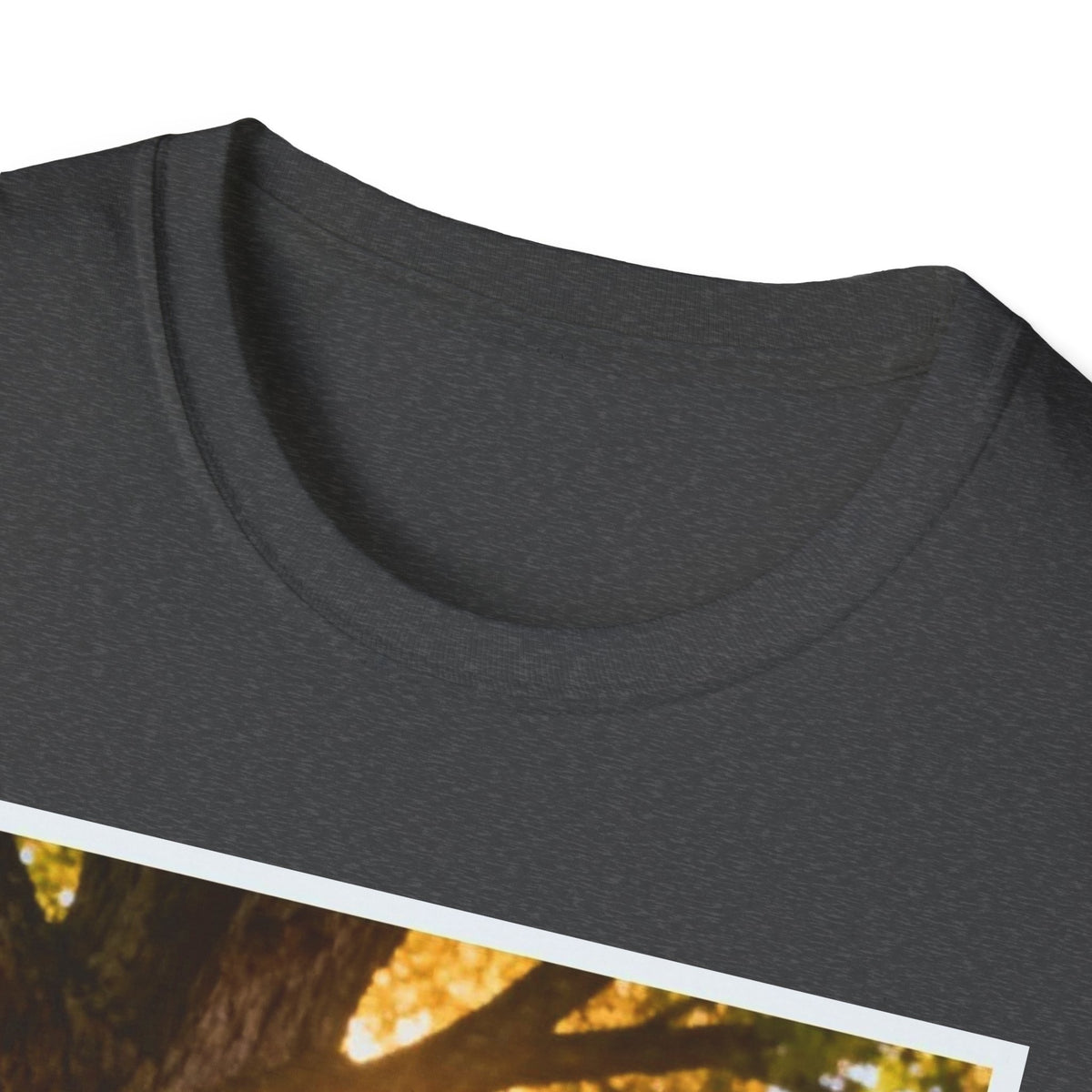 Acorn to Oak T-Shirt